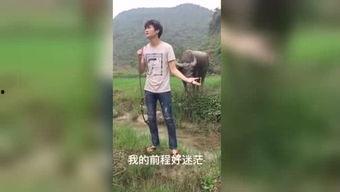 国产福利视频抄底视频,揭秘抄底策略,财富增长新篇章